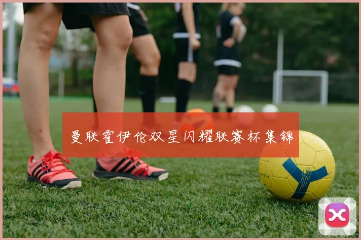 曼联霍伊伦双星闪耀联赛杯集锦