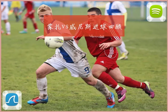蒙扎vs威尼斯进球回顾