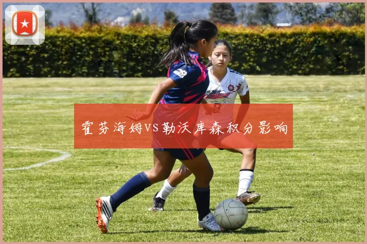 霍芬海姆vs勒沃库森积分影响
