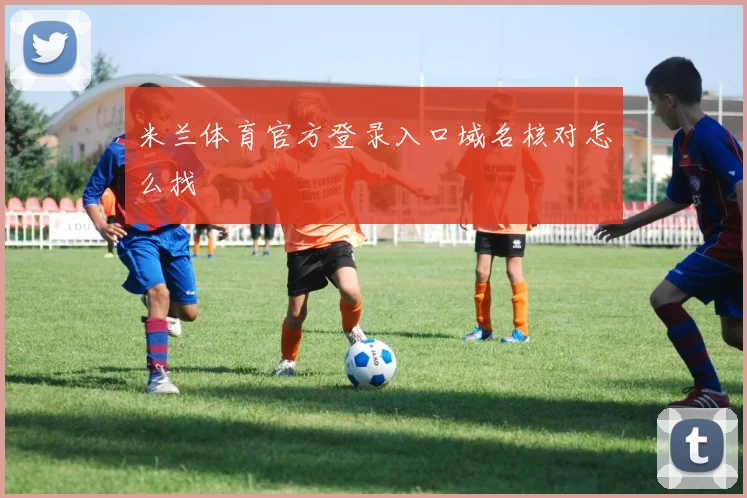 米兰体育官方登录入口域名核对怎么找